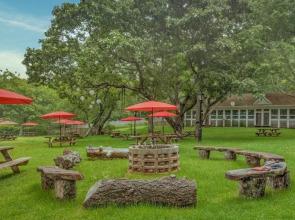 Ruschmeyers #19 - Dlx King