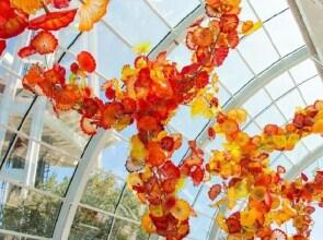 Seattle Urvan Village- Rainier