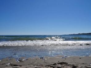 Richmond Highland Farm