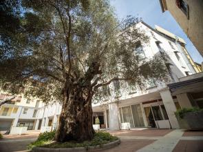 Ego' Ferrara Residence