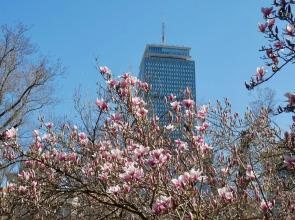 Boston Luxury Suites