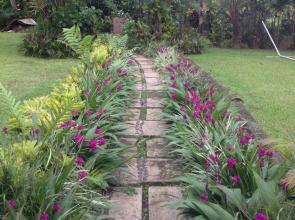 Tiavi Mountain Cabins