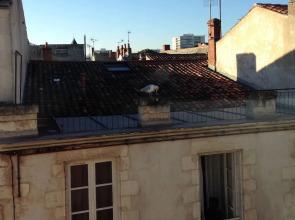 Appartement confortable au centre de La Rochelle