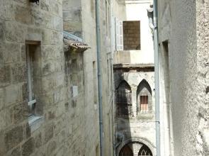 Coeur de Saint Pierre