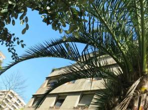 Maravillosa vivienda uso turistico con Parking VUT 921 AS