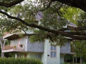 Abigaile's Treehouse