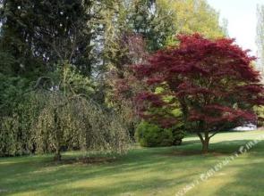 Renken am See Landhaus