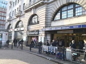 Orchid 2 At Baker Street