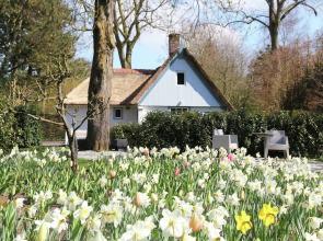 Romantic holiday home in Bergen North Holland with terrace