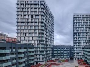 Гарден студия