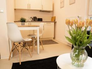 FULL HOUSE Studios - CityView Apartment - NETFLIX + WiFi inkl.