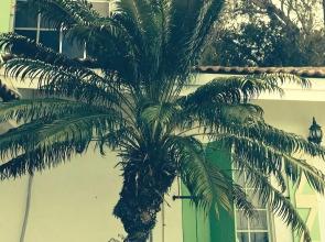 Habitation Jouissant