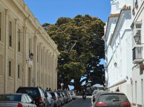 Apartamento La Viña