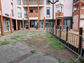 Le Petit Coin de Lavaur