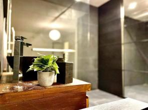 *Fontaine Moussue*Hyper Centre*T2 Standing*