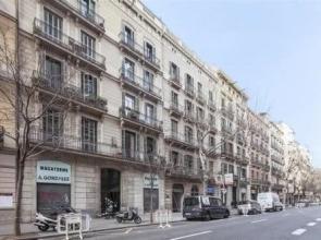 Friendly Rentals Michelangelo