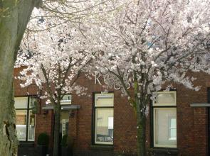 Bed & Breakfast Reggedal