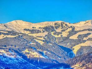 Haus Kitzsteinhorn 7 - Edelweiss by Alpen Apartments