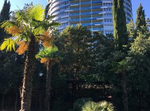 U Primorskogo Parka Apartaments