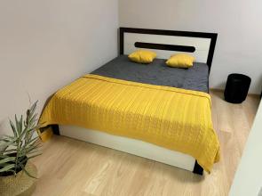 Odnokomnatnaya Khirurga Nechaeva 16 Flat