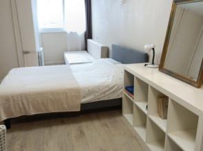 Studio on Pushkin, 13 Flat