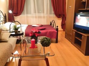 S Vidom Na Gorod Apartments