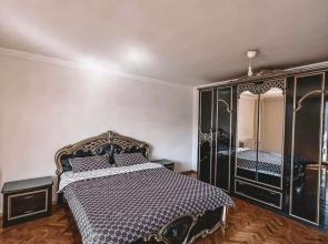 Odnokomnatnaya V Tsentre Flat