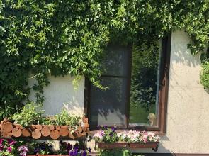 Dalnyaya 11 Guest House