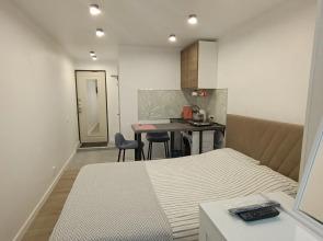 Studiya Na Pushkina Flat