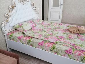 2khkomnatnaya v Tsentre Apartments