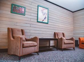 Altai Palace Dacha (Altay Palas Dacha) Shalet