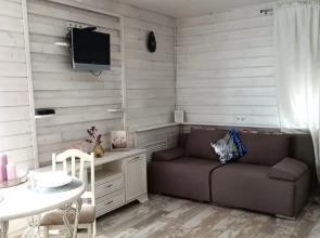 PaulMari na Chernyakhovskogo Apartments