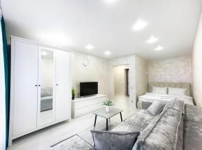 1-komn s krasivym vidom na Nemigu v centre Minska Apartments