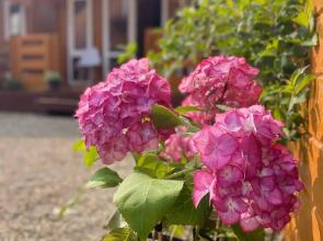 Olginka Recreation camp