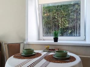 Khorosho Kak Doma Studiya V Zhivopisnom Meste S Vidom Na Les Flat