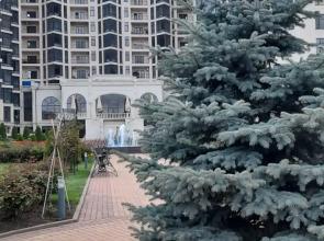 Grinpark Tsentr Apartments