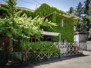 Сhaykiny Kanikuly Private house