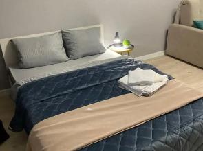 Uyutnaya Studiya Flat