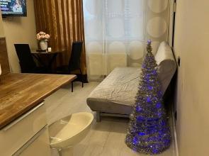 Krasnoarmeyskaya 19 Flat