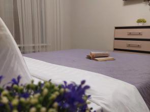 Na Zavodskoy 35 Apartments