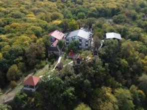 Gacha-Gooch Forest Hotel