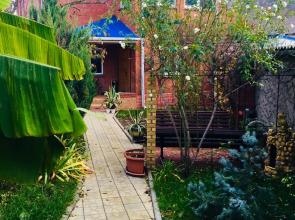 Chernomore Guest House