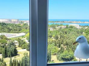 Nomera Park-Otel Hotel