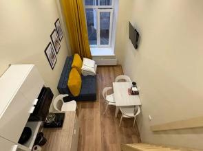 S Novym Remontom V Tsentre Apartments