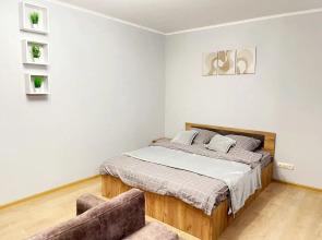 Komfortnaya Ctudiya V Samom Tsentpe Gopoda Flat