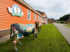 Konovalovo Eсo-Hotel