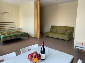 121 Bannoye Altynay #2 Apartments