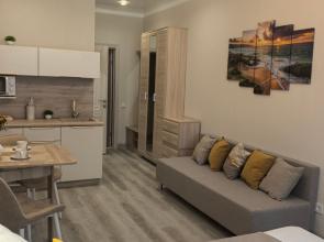 Studiya 1 v Tsentre Goroda Flat