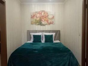 Na Prospekte Kirova 53 Apartments