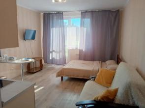 Uyutnaya Studiya V Tsentre Samary Flat